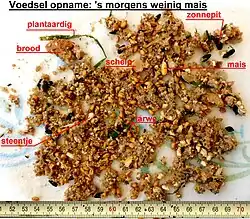 Inhoud krop, gespoeld, 2 uur na voeren