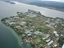 Luchtfoto van het westelijke deel van Reichenau, met op de achtergrond Mettnau en links daarvan het kleine Liebesinsel.