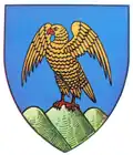 Wapen van Argeș