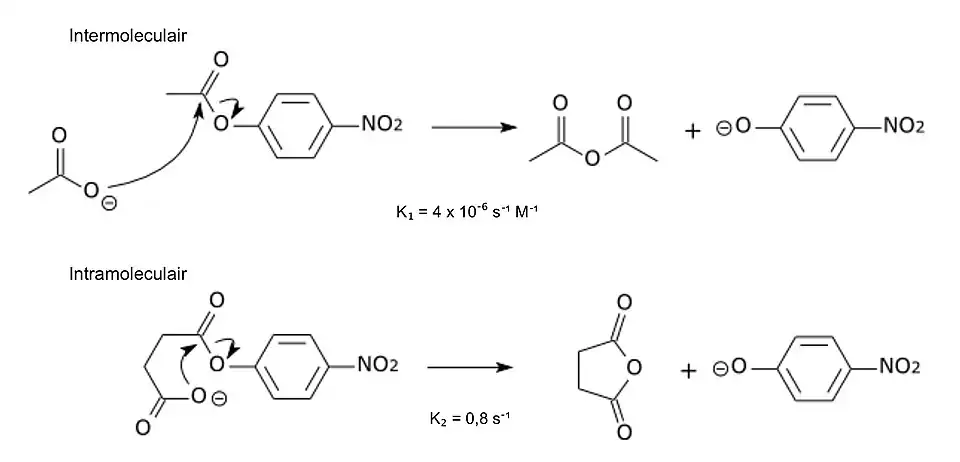 Gelijksoortige reacties verlopen veel sneller als de reactie binnen het molecuul plaatsvindt.