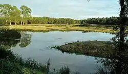 Uitzicht naar het oosten vanaf de liniewal op het inundatiegebied "Halsters Laag" (Het Laag).