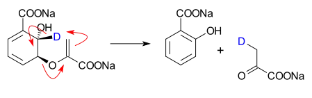 omzetting van isochorismaat in salicylaat en pyruvaat