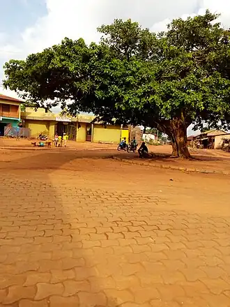 Paleis van de plaatselijke koning