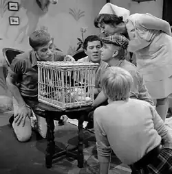 De vaste acteurs, hier in aflevering 6