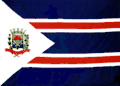 Vlag van Jales