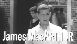 James MacArthur in The Young Stranger