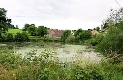 Meertje bij het dorp (2016)