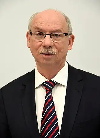 Lewandowski in 2013