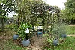 Prieel met klimplanten omringd door planten in potten