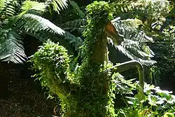 Beeld van een steigerend paard