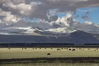 Nationaal park Dzjavacheti