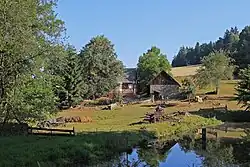 Meertje bij het dorp (2015)