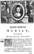 Maria Sibylla Merian Pagina 200
