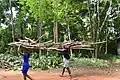 Vrouwen die hout transporteren in het Forêt de la Lama