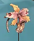 Orchidee broche