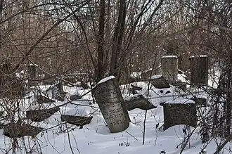 Joodse begraafplaats van Chișinău (februari 2017)