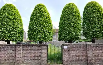 Joodse Begraafplaats