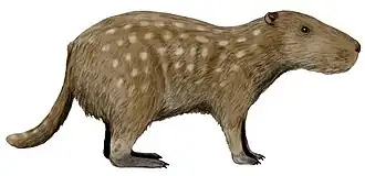 Josephoartigasia monesi