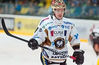 Kärpät