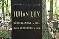 Graf van Juhan Liiv op het kerkhof van Alatskivi
