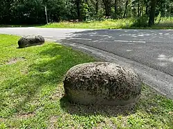 Jumboblokken begroeid met de muisjesmos-associatie.
