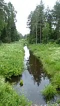 De beek Jummallätte oja