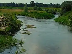 Junne nevengeul en visstuw