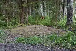 De Kääpa Kuningakivi