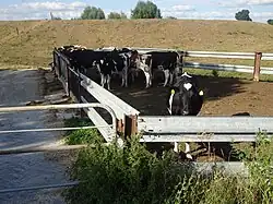 Veebocht in Bedburg-Hau