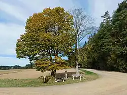 Wegkruis nabij het dorp (2021)