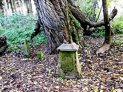 Voormalig kruis tussen de bomen (2021)