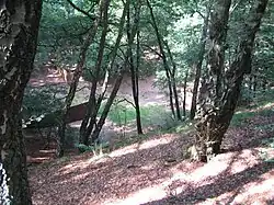 Richard Serra, Spin out, for Robert Smithson, 1972-1973