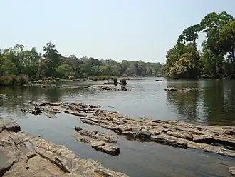 Rivier de Kavery bij Kushalnagar