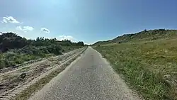 Duinweg, met aan de rechterzijde (noordzijde) de Kaapsduin