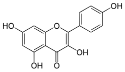 Structuurformule van kaempferol