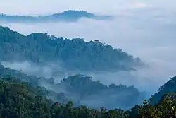 Kaeng Krachan National Park