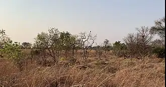 Nationaal park Kafue