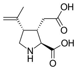 Structuurformule van kaïnezuur