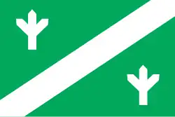 Vlag van de gemeente Kaiu