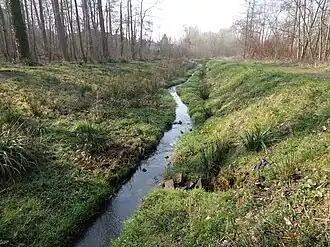 Tussen Wolfhagen en Schinnen