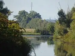 Kalflack bij Emmericher Eyland