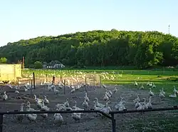 Silhouet van de Monreberg