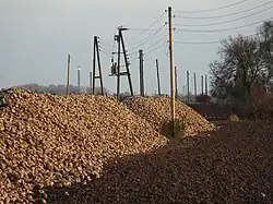 Op het platteland in de buurt van Kalkar, deelstaat Noordrijn-Westfalen