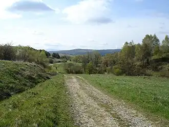 Weg in Kamienne