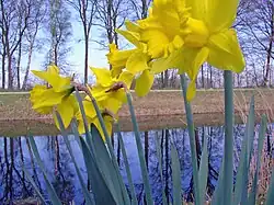 Kanaal Almelo-Nordhorn ten zuiden van Ootmarsum
