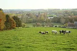 Uitzicht over Maarke vanop de Kapelleberg