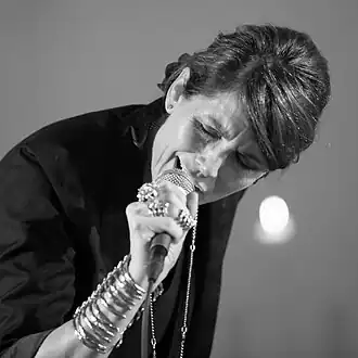 Kari Bremnes tijdens een concert in oktober 2013