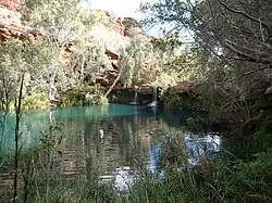 Fern Pool in nationaal park Karijini
