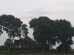 Close-up van de voorkant van de rivierduin, de plek waar tussen 1484 en 1581 het Kartuizer klooster stond.