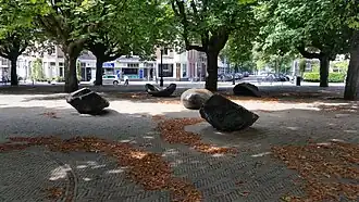 Kastanje (augustus 2018)